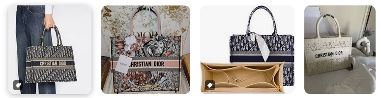 Dior Book Tote Bags